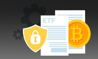 Для защиты от финансовых рисков надо больше, чем биткоин-ETF