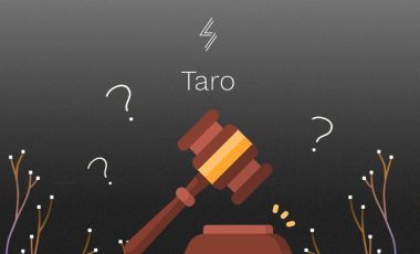 Lightning Labs не сможет обновлять протокол Taro