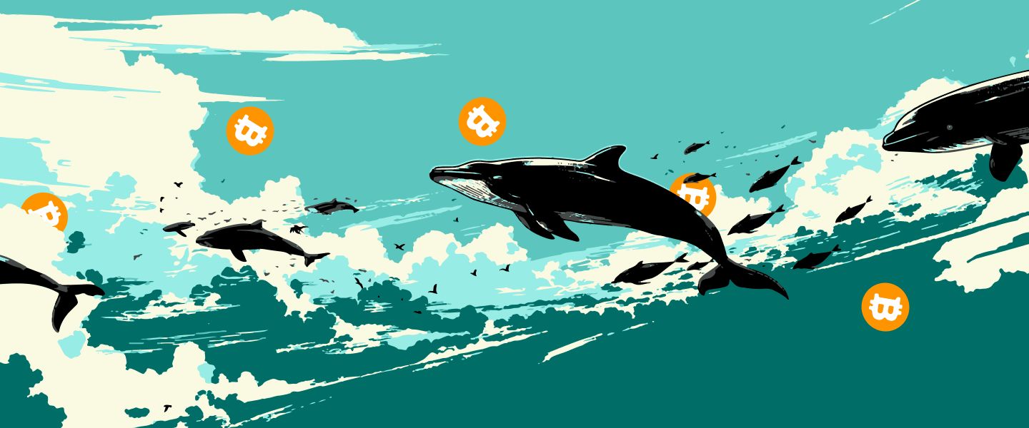 Количество биткоин-китов стремительно растет
