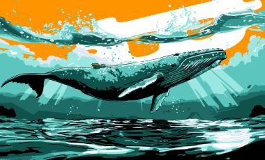 «Древний» биткоин-кит перевел 2000 BTC