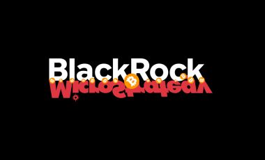 MicroStrategy и BlackRock: общее и отличия