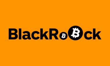 В BlackRock удивлены беспрецедентным ростом биткоин-ETF