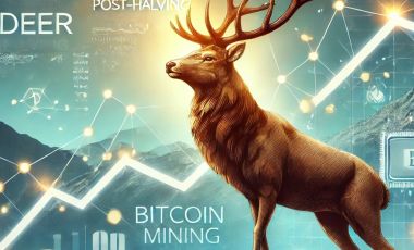 Майнер Bitdeer успешно восстанавливается после халвинга