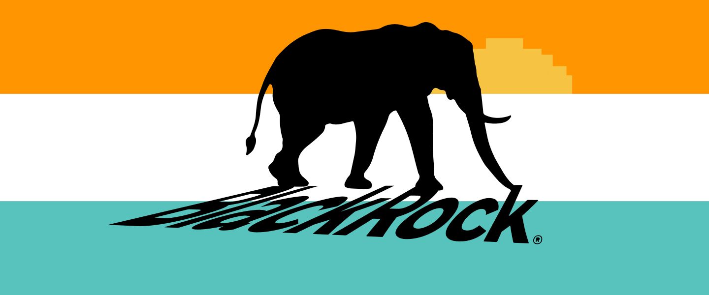 BlackRock поделилась «цифровыми» планами на Индию